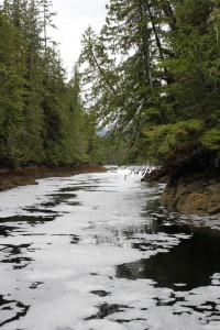 Lake Elizabeth Falls on Joe's Bay