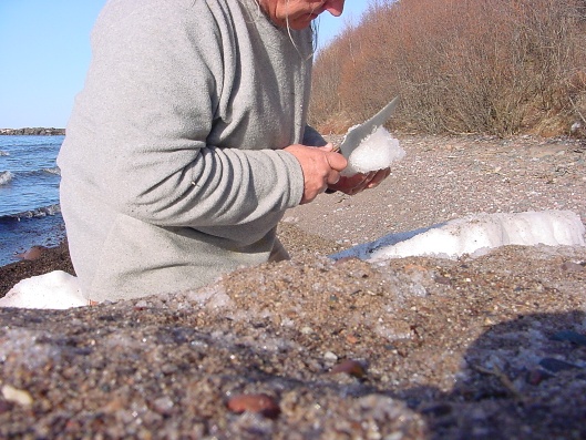 dsc04763 dsc04763
